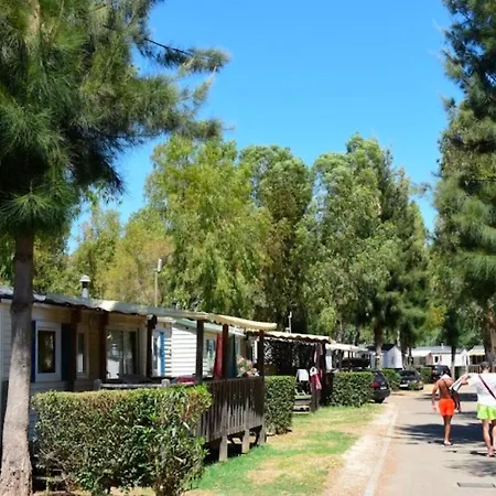 Mobil-home Neuf 6 A 8 Pers Au Les Palmiers, Campsite *